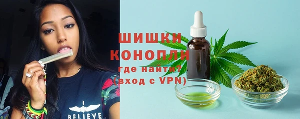 гашик Остров