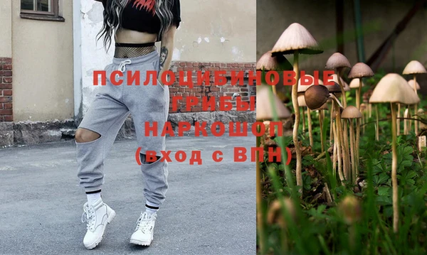 спиды Алексеевка